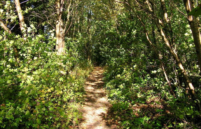 6 Person Holiday Home in Taastrup - Photo 10