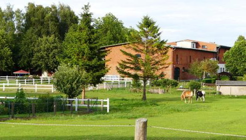 Hof Thomsen - Foto 3, Garden view