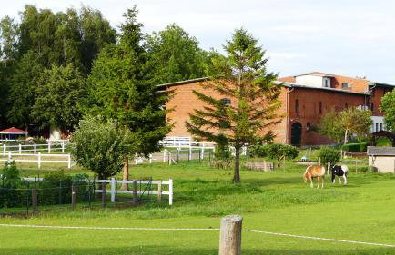 Hof Thomsen - Foto 3