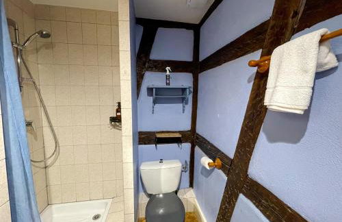 La Maison Bleue - Historic House in the Heart of Riquewihr - Foto 78