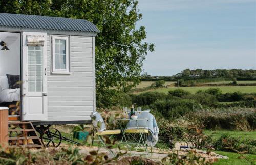 Shepherds Hut at Chenhall Farm - Photo 29