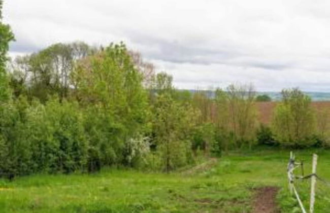 Apartment in Ubachsberg Near Scenic Trails - Photo 29