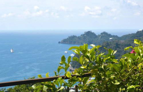 Andromeda Flexyrent - Foto 74