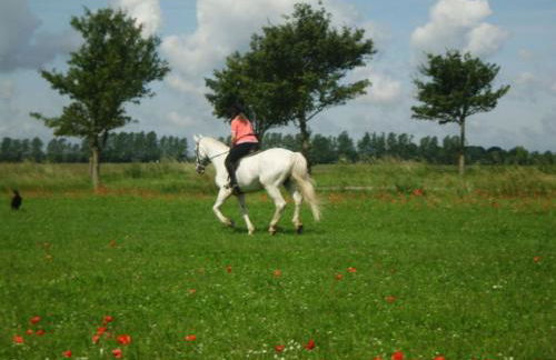 Ferienwohnung "Möwe" im Ferien-Resort Rügen - Foto 22