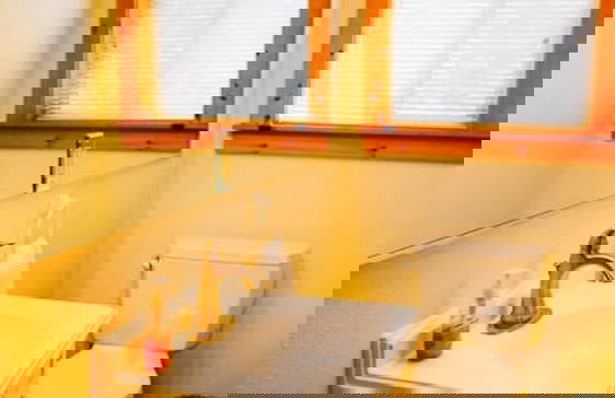 Lakeview Cabin with Boat Slip - Foto 15