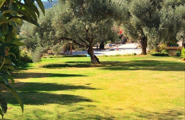 Oliva Casa Apart Hotel - Photo 9