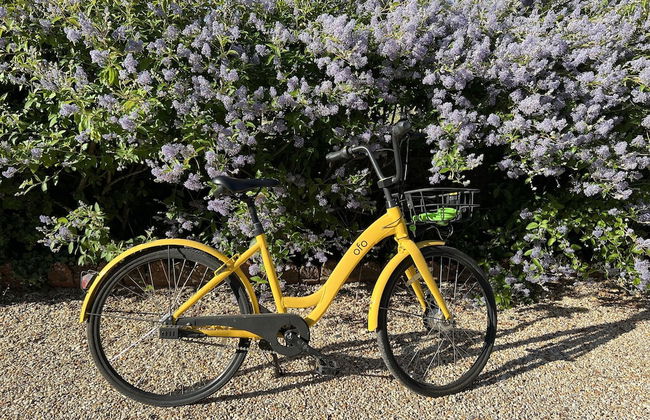 Demeure de la Garenne - Foto 69