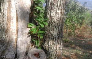 Agriturismo Il Giardino - Photo 40