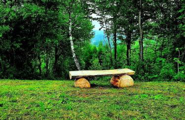 Osada Modrzewiowe Wzgórze Bieszczady - Foto 43