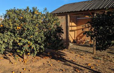 Casa Hostalets - Renovated casa in the middle of the olive trees near the beach - Foto 98
