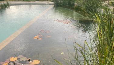 La Calma y La Casita de la Tierra - Foto 5