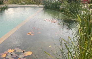 La Calma y La Casita de la Tierra - Foto 5