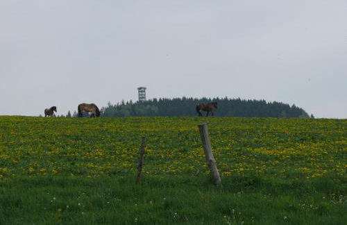 Ferienwohnung Nimm dir Zeit - Foto 10