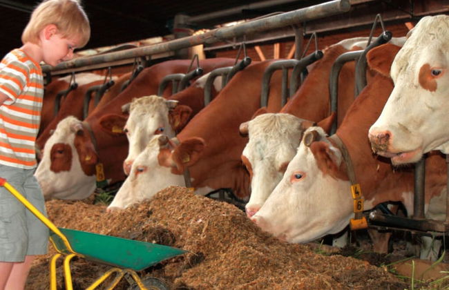 Attractive Apartment in Bavaria - Foto 11