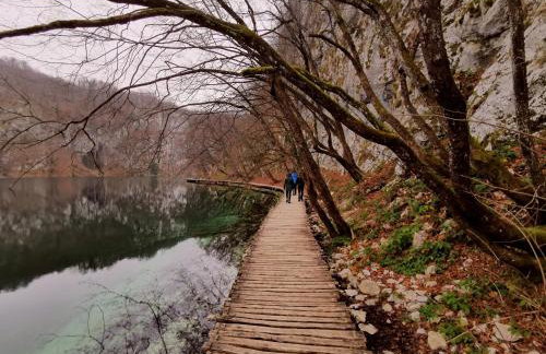 Apartment Goran - Foto 14