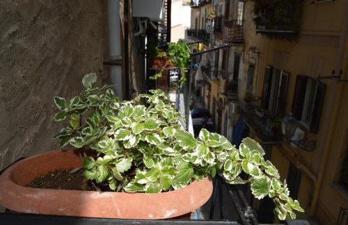 Futtitinni Home casamia - Foto 27