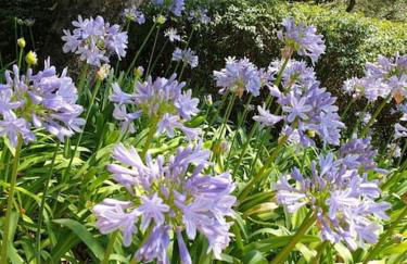 Pool House Renoir with heated pool and private garden - Foto 29