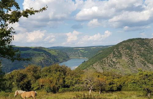 Rhine Pearl Hideaways - Foto 23