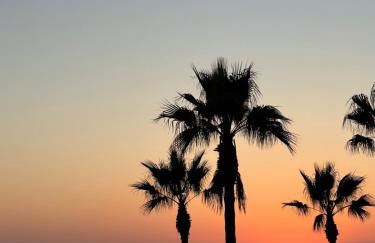 Retiro do Sossego - Foto 43