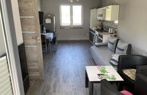 Dom na skraju lasu - Foto 4