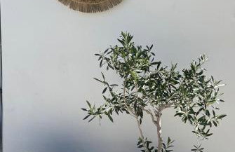 Giasemi Island House - Foto 9