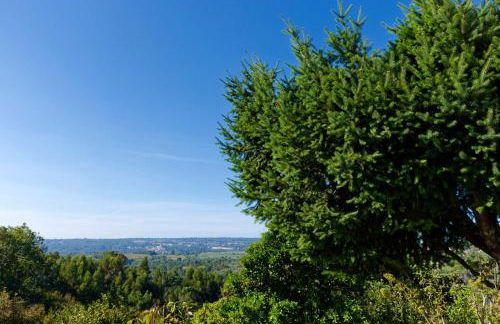 Refúgios do Rio Dão - Foto 61