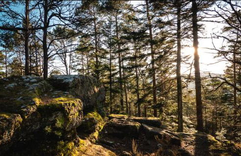 Le nid du Piémont - Photo 32