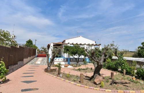 Monte da Freira - Foto 5