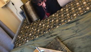 Tiny house au cœur du marais - Foto 3