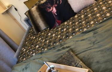 Tiny house au cœur du marais - Foto 3