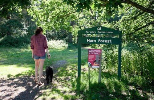 Quince on Oakdene country Park - Foto 11