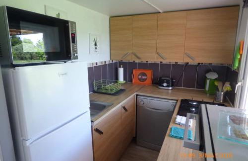 MAS MAURANE-Le Platane avec SPA privé aux portes d'ARLES - Foto 21