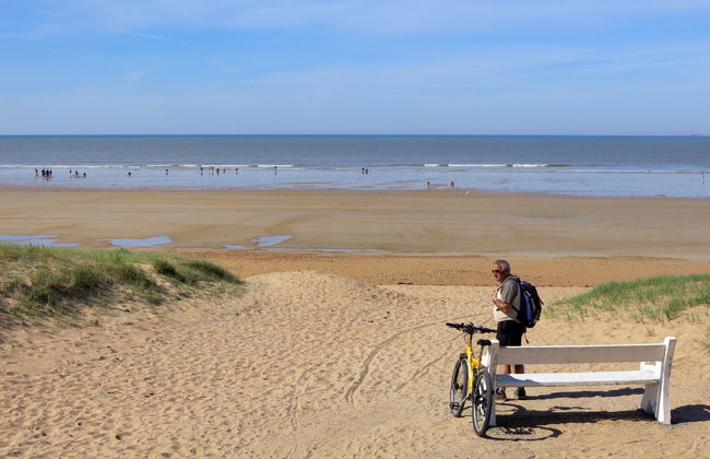 Pamplemousse Face Mer - Photo 12