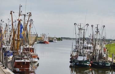 FroschKönig - Foto 24