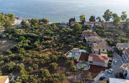 Aloni Ekies - Foto 13