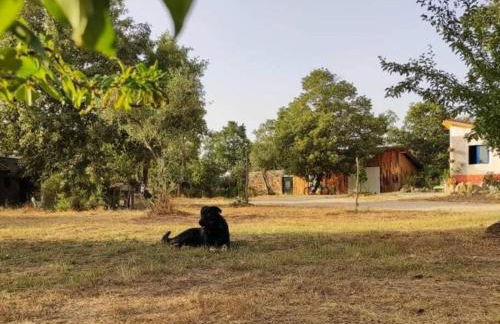 Quinta Terramadome: Dome incomum & responsável - Foto 23