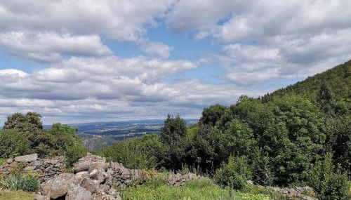 Charmante maison dans les gorges de la Loire avec terrasses et poêle à bois - FR-1-582-319 - Foto 5