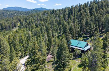 Dog Friendly Mountain Cabin with Hot Tub - Foto 51