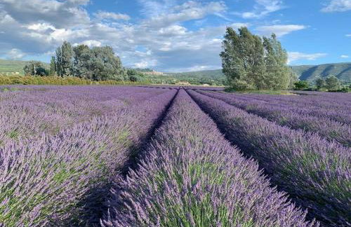 La Maison d’Helene & Antoine à Bonnieux XII siècle - Foto 31