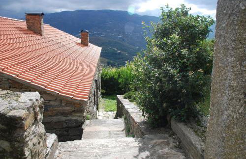 Cardenha do Douro - Photo 12