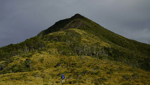 Paseo en barco al cabo Froward + Trekking a la Cruz de los Mares - Foto 3
