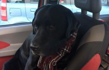 Appartamento Turistico Dal Morino - Foto 19