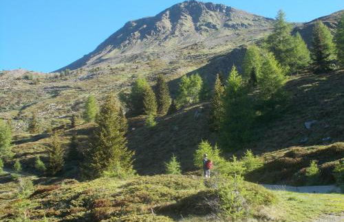 Balcone sulle Dolomiti - Photo 76