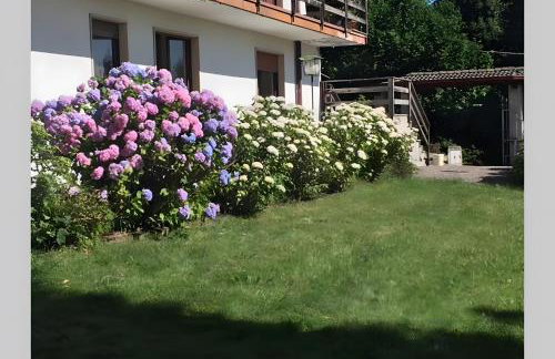 Appartamento immerso nel verde - Foto 25