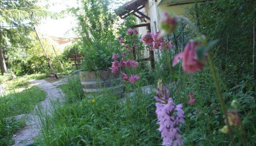 Vacanze Toscane In The Country - Villa Agrifogli - Foto 5, Garden