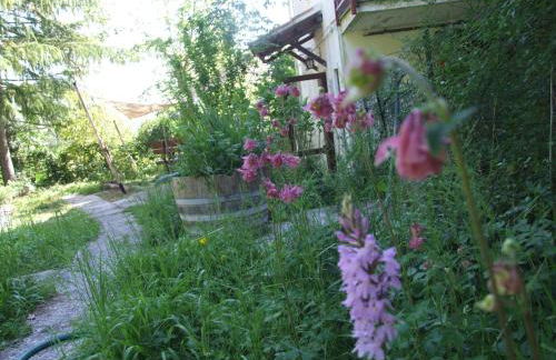 Vacanze Toscane In The Country - Villa Agrifogli - Foto 5