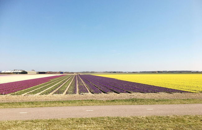 Relax Cozy Dirkshorn Stay - Photo 26