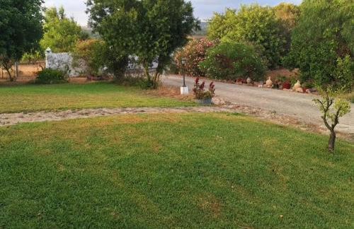 Casa Rural El niño Santamaría - Foto 18