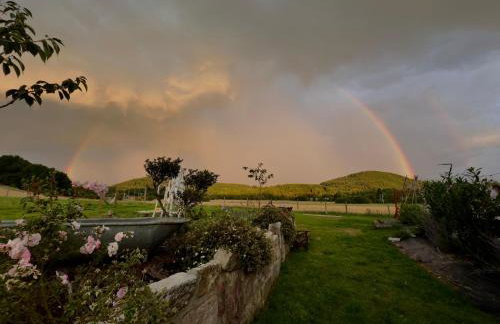 Lawendowy Raj - Foto 6