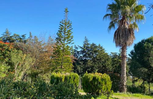 Quinta Vale da Paz - Foto 49